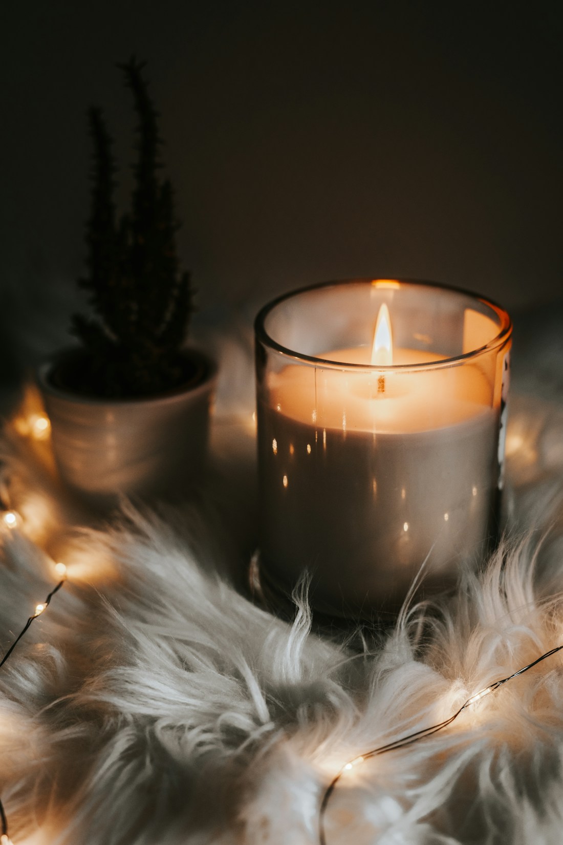 A softly lit candle and botanical details in a peaceful setting